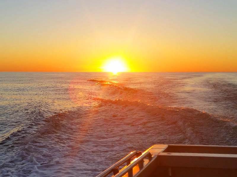 Sunset Dolphin Cruises Broome