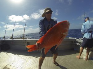 Red Emperor Fish