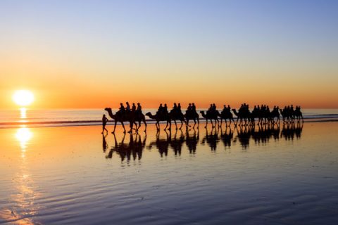 Things to do in Broome for families