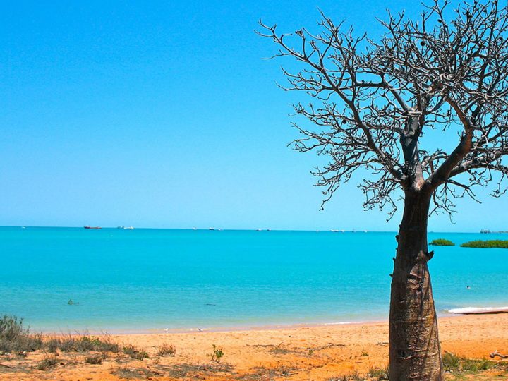 The 6 Indigenous Seasons of Broome