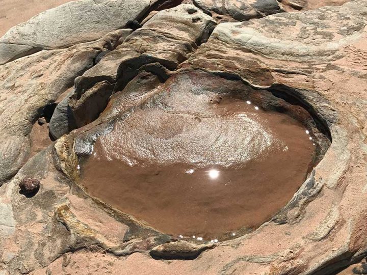 How, where and when to see Broome’s Dinosaur footprints