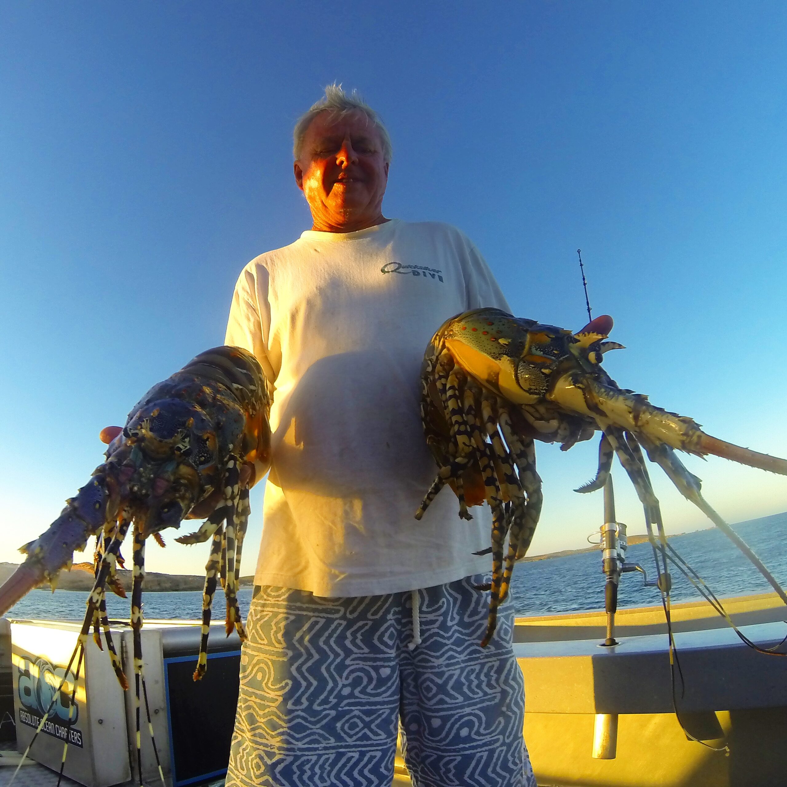Montebello Islands lobster