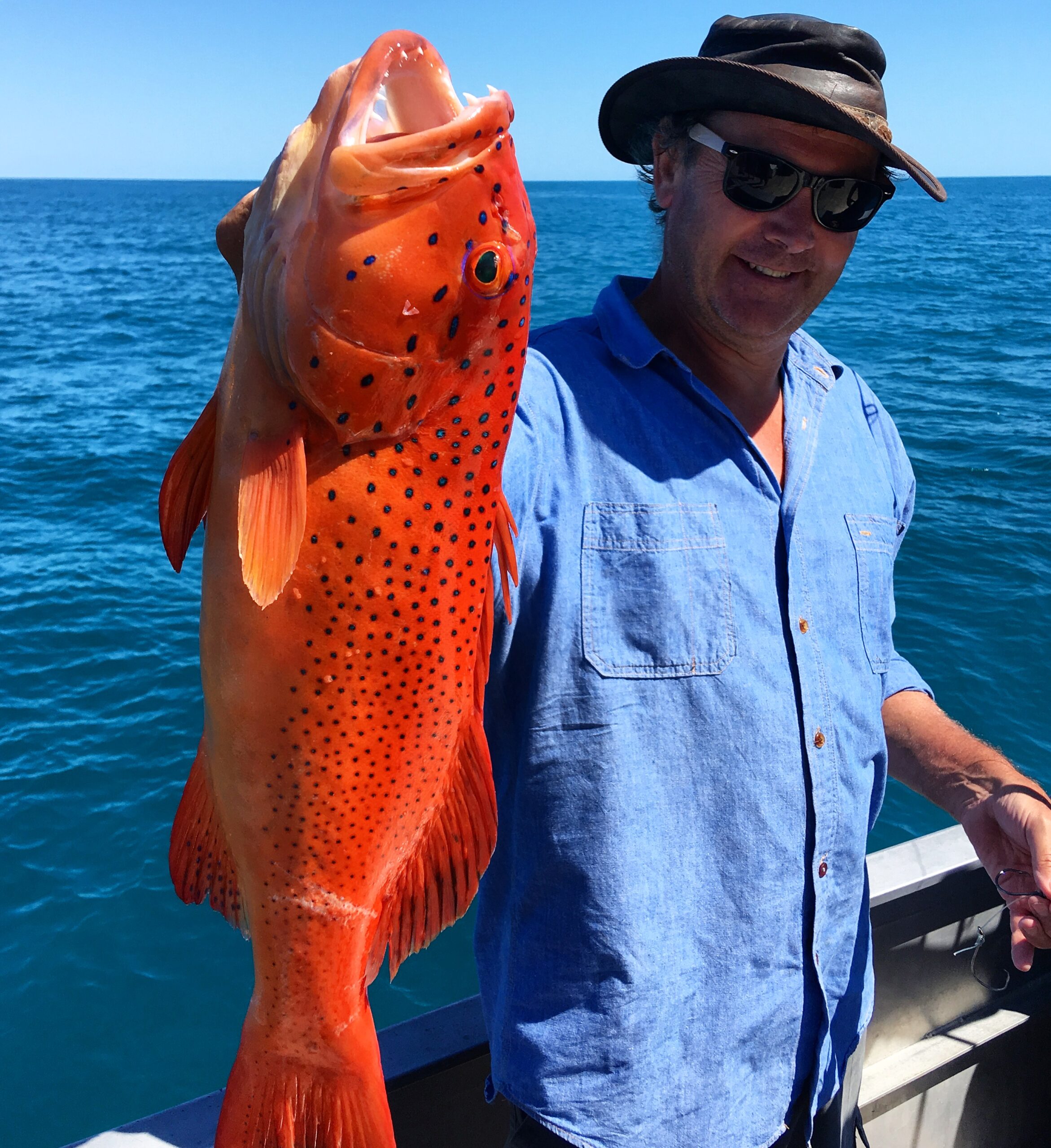 Coral Trout