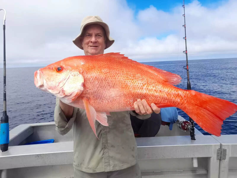 Man who just caught a red emperor fish